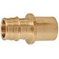 American Imaginations 0.5 in. x 0.5 in. Lead Free Brass Cold Expansion Sweat Adapter AI-35189